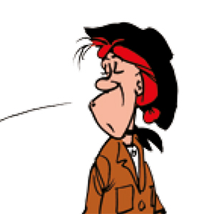 Classificeren Flikkeren Beschrijvend Lucky Luke